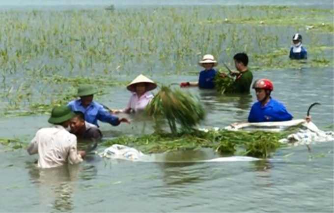 Ảnh minh họa/internet